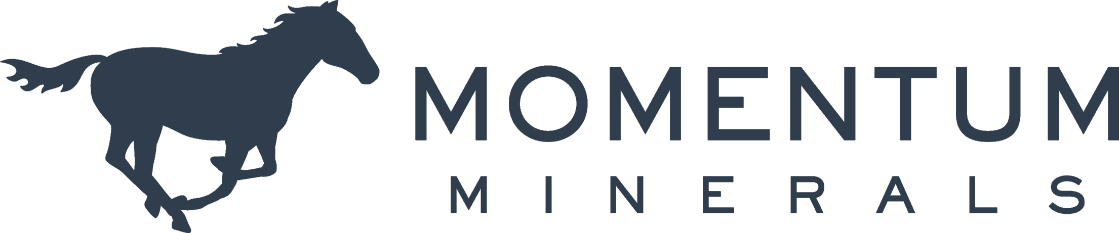 Momentum Minerals